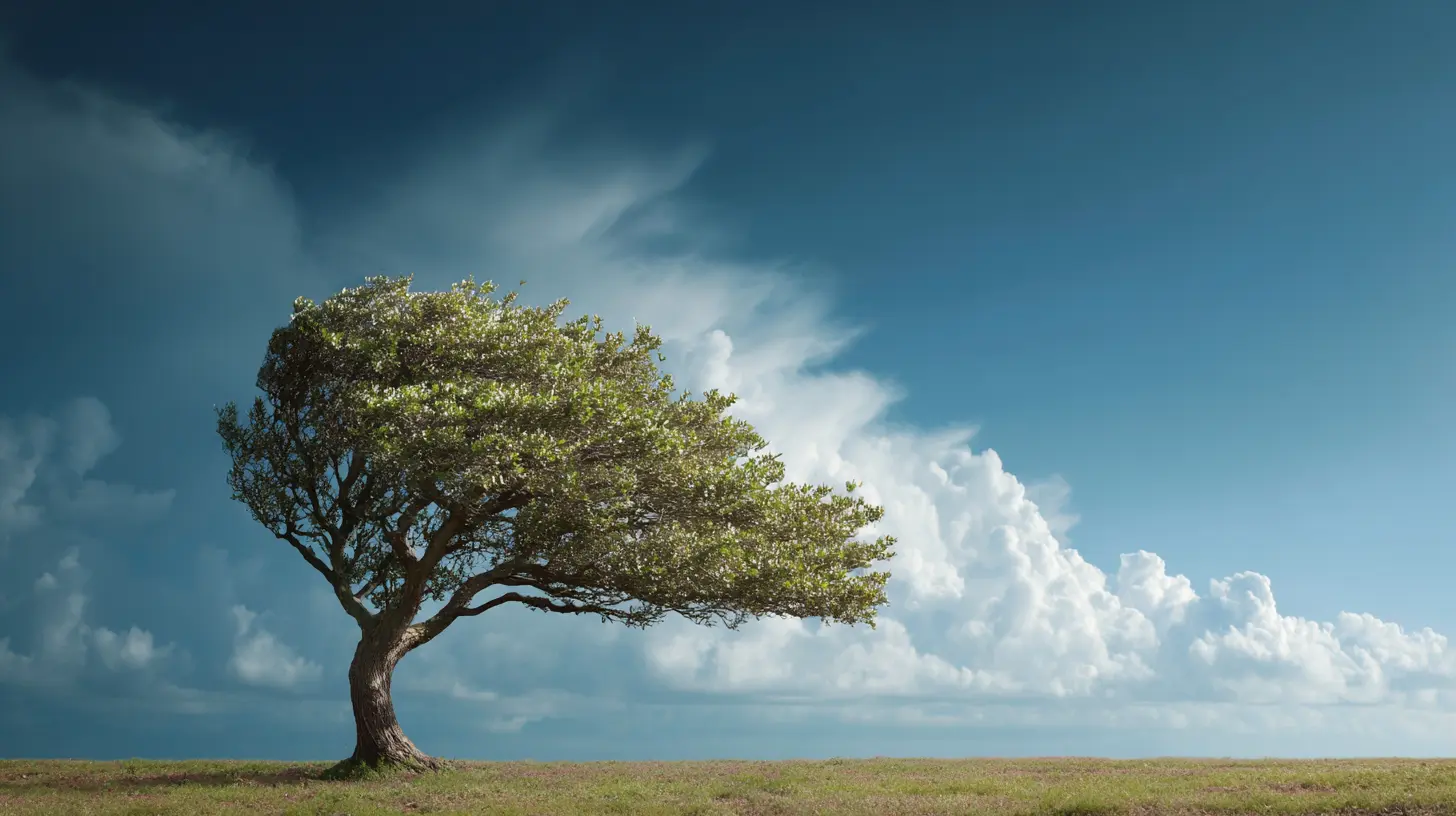 The Power of Nature in Reducing Stress Levels