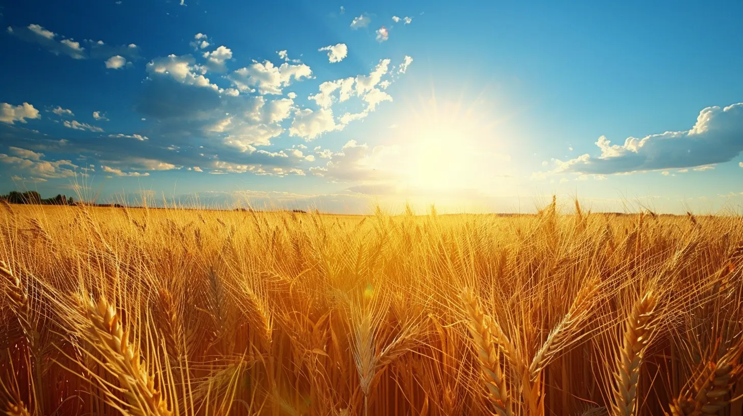 Wheat-Free Diets for Those with Gluten Sensitivity