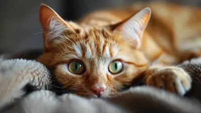 Can Pets Help You Manage Stress? Exploring the Connection