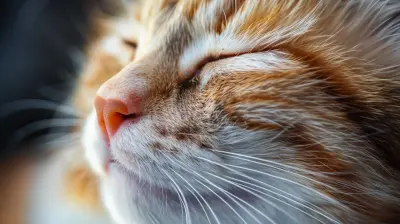 Can Pets Help You Manage Stress Exploring The Connection