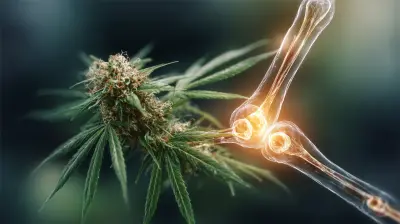 CBD and Joint Health: Can It Help Manage Pain?