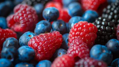 Organic Food Trends to Watch: What’s on the Rise?