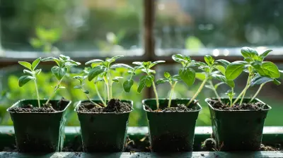 Organic Gardening At Home Growing Your Own Healthy Produce