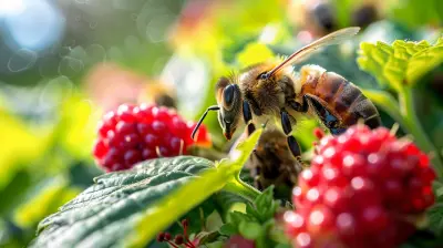Organic vs. Conventional: Understanding Pesticides in Our Food Supply