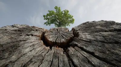 The Power of Nature in Reducing Stress Levels