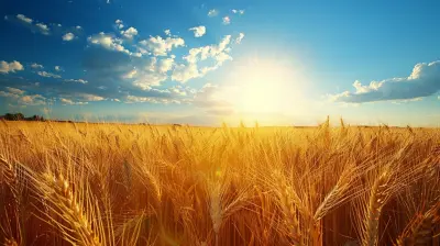 Wheat-Free Diets for Those with Gluten Sensitivity