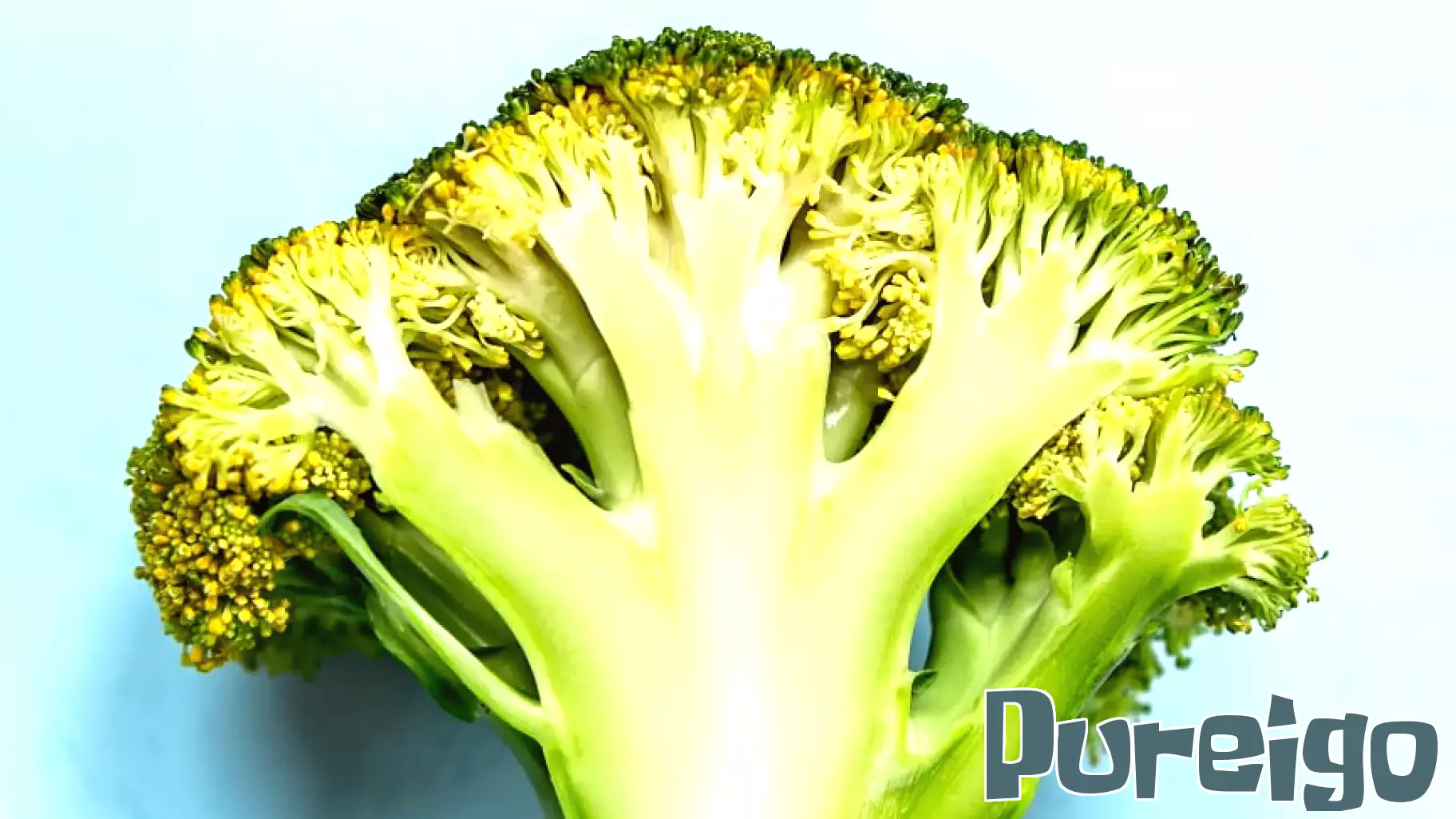 Discover Fiber-Rich, Low-Carb Foods for Optimal Gut Health