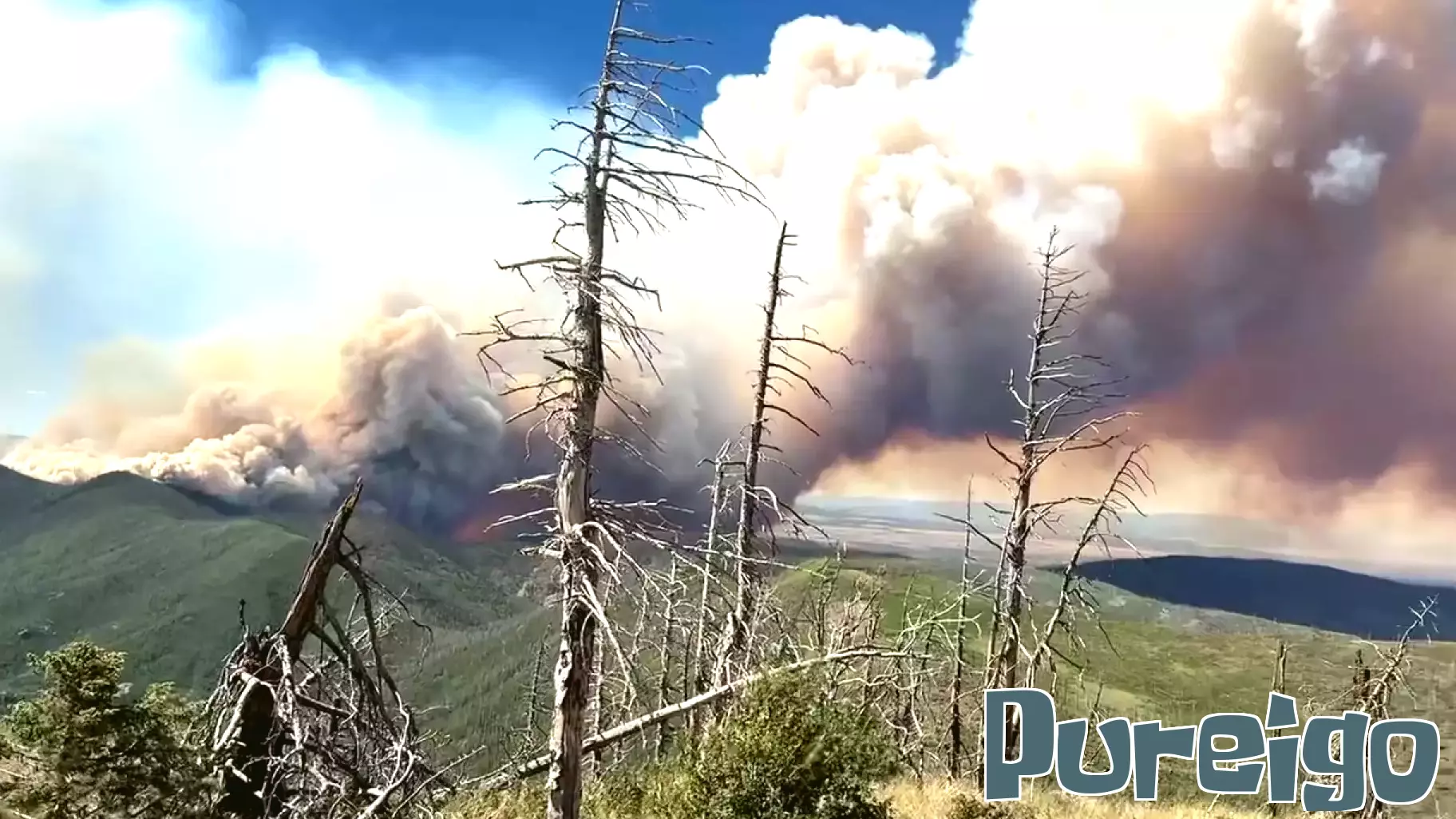 Health alert issued for smoke in Albuquerque