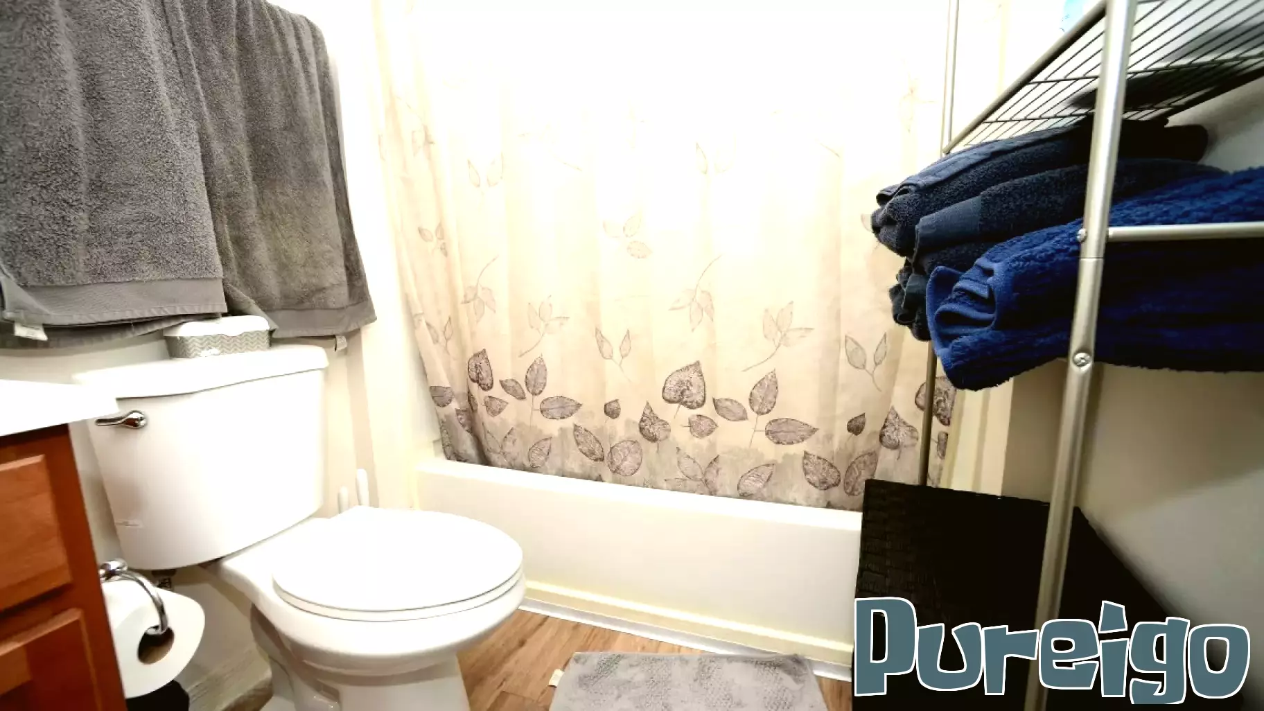 Health Officials Issue Warning About Rodent Influx After Flooding in Washington