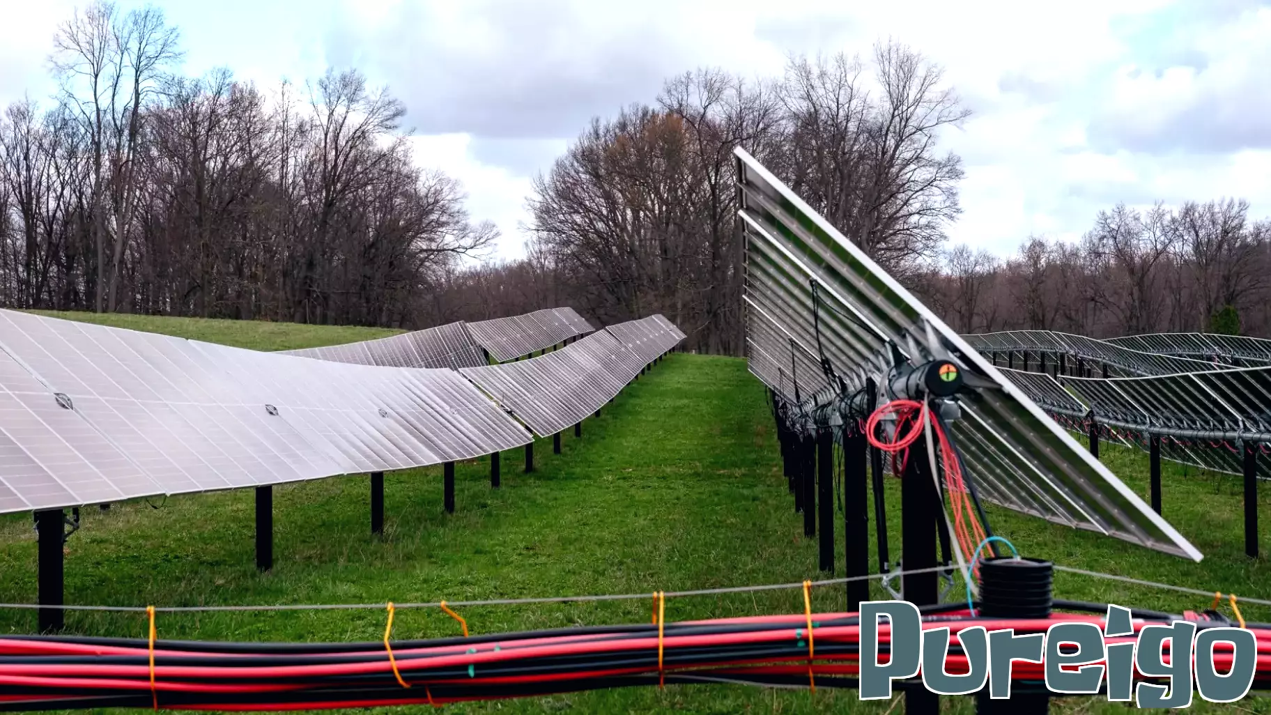 Misguided Health Fears Fuel Growing Opposition to Solar Energy Across America