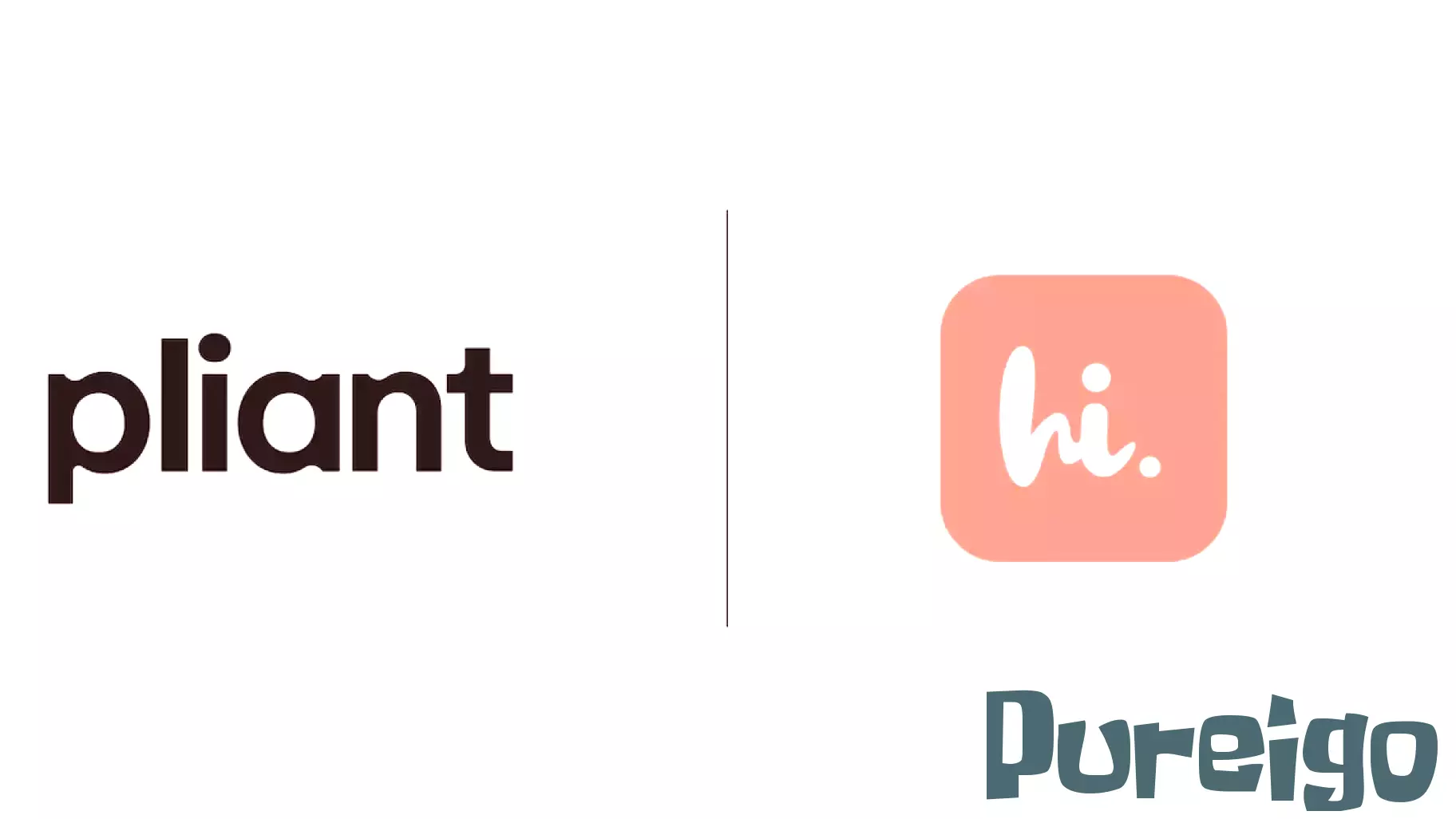 Pliant Expands Its Reach into the Insurance Sector with Hi.health Acquisition