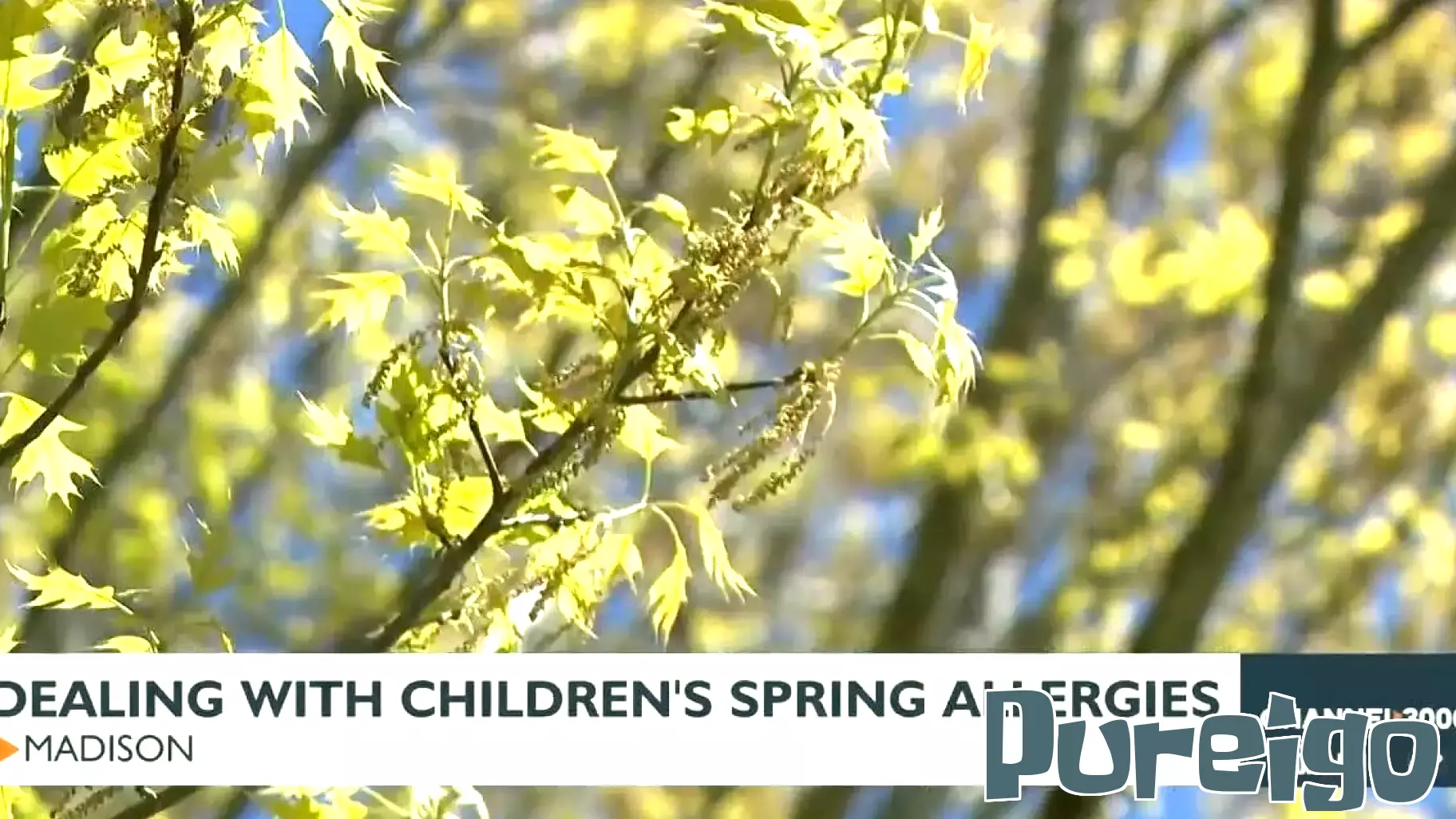 Spring Allergies: Expert Advice for Parents on Managing Children's Symptoms