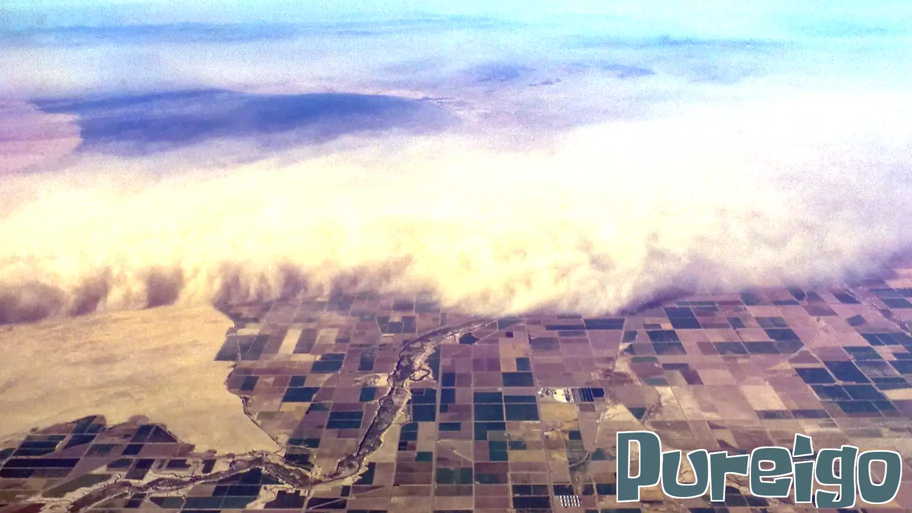 Study Highlights Risks of Inhaled Agricultural Dust on Gut Health