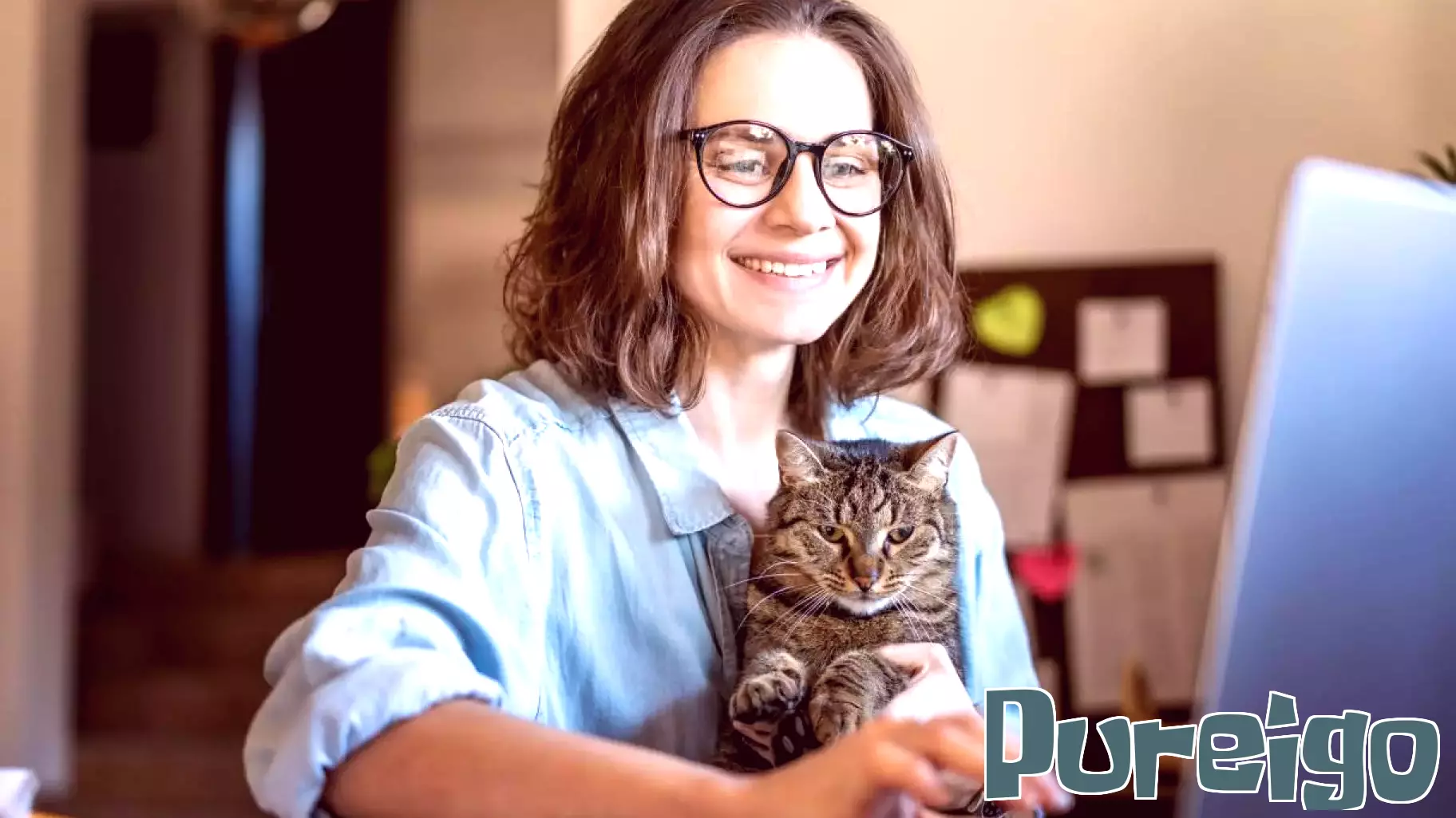 Telehealth Enhances Treatment for Cats Suffering from Arthritis