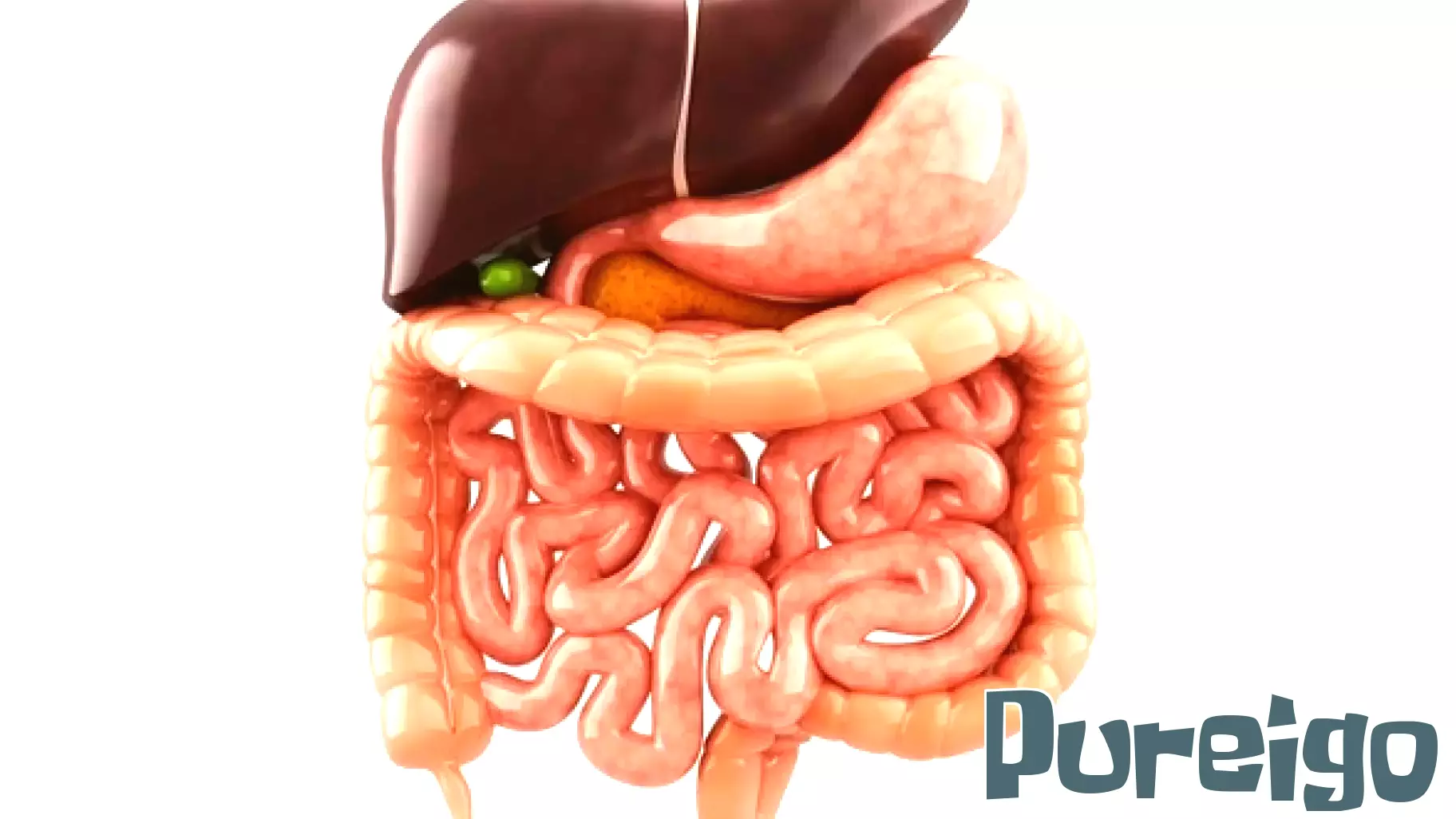 The Detrimental Effects of Heavy Alcohol Use on Digestive Health