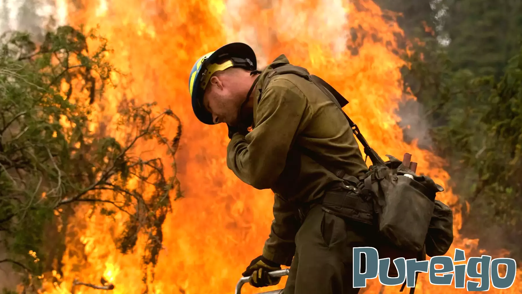 The Growing Mental Health Crisis Among Wildland Firefighters
