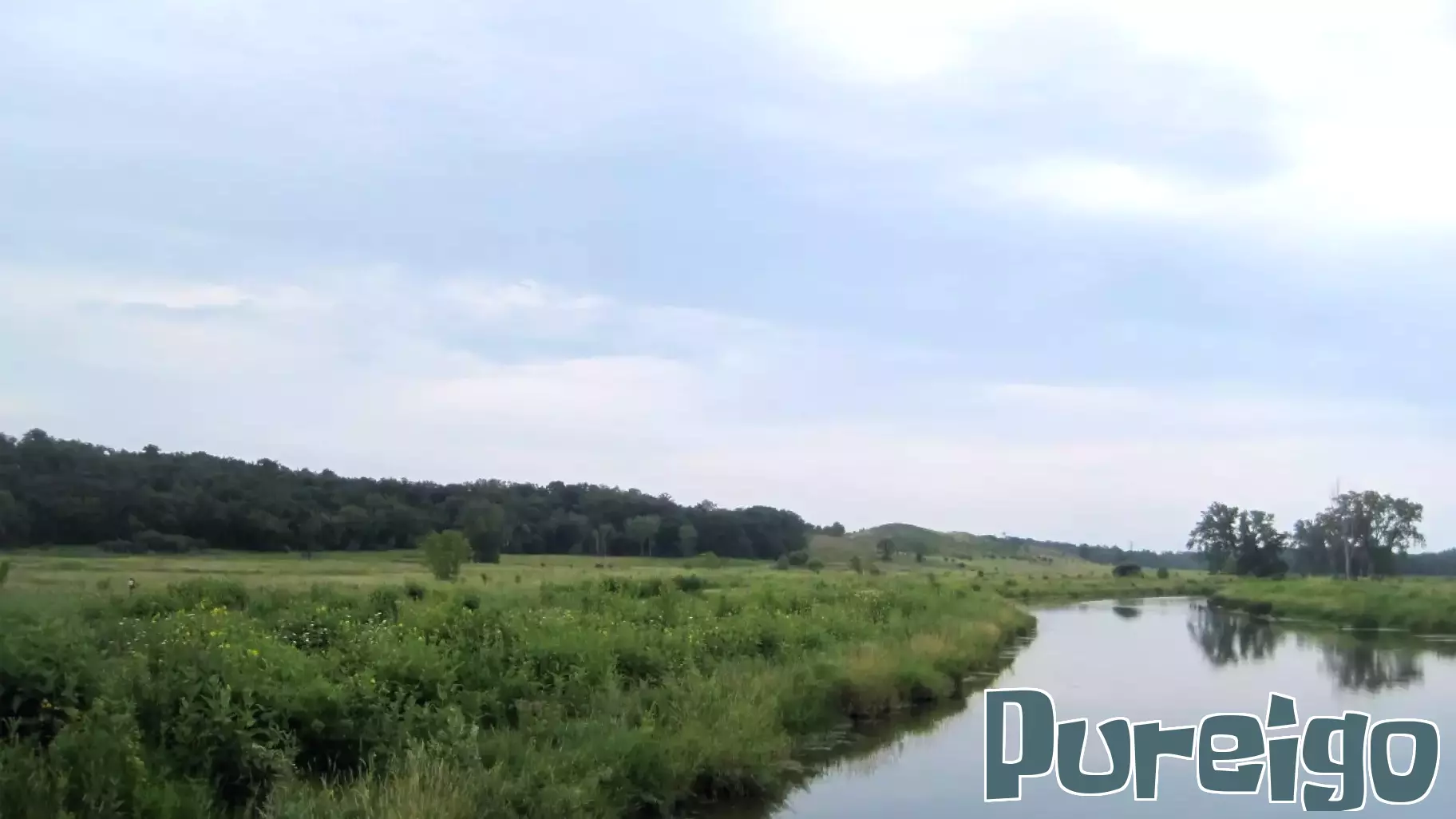 The Health Benefits of Preserving Illinois Wetlands