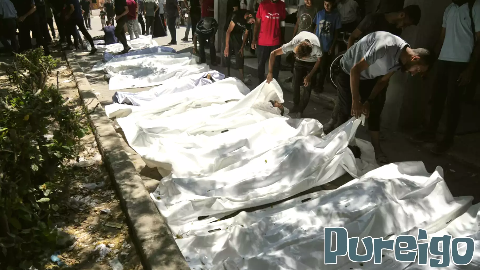 Tragic Loss of Life in Gaza as Aid Seekers are Targeted