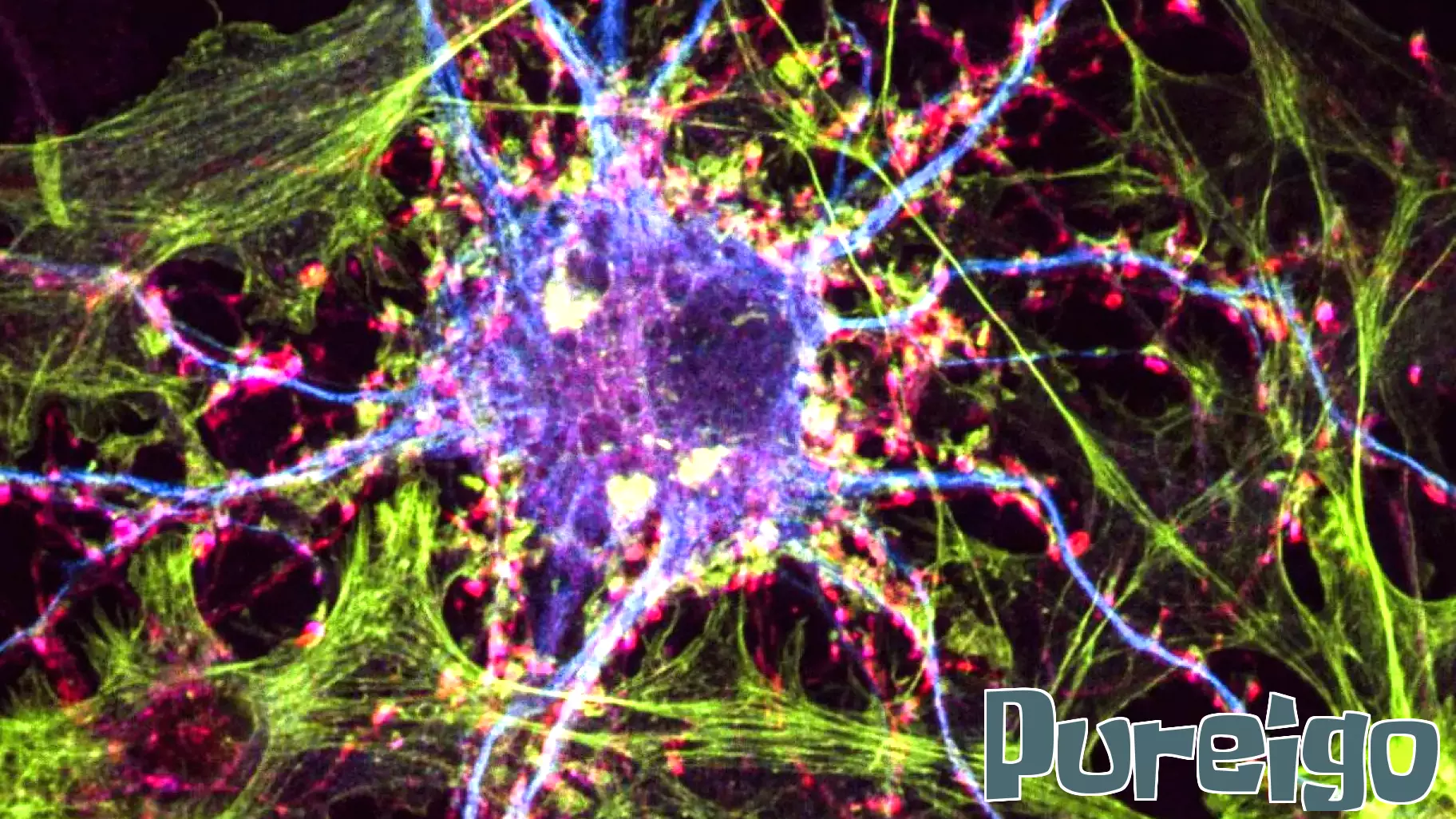 UC Davis Health Ventures Makes First Investment in Delix Therapeutics
