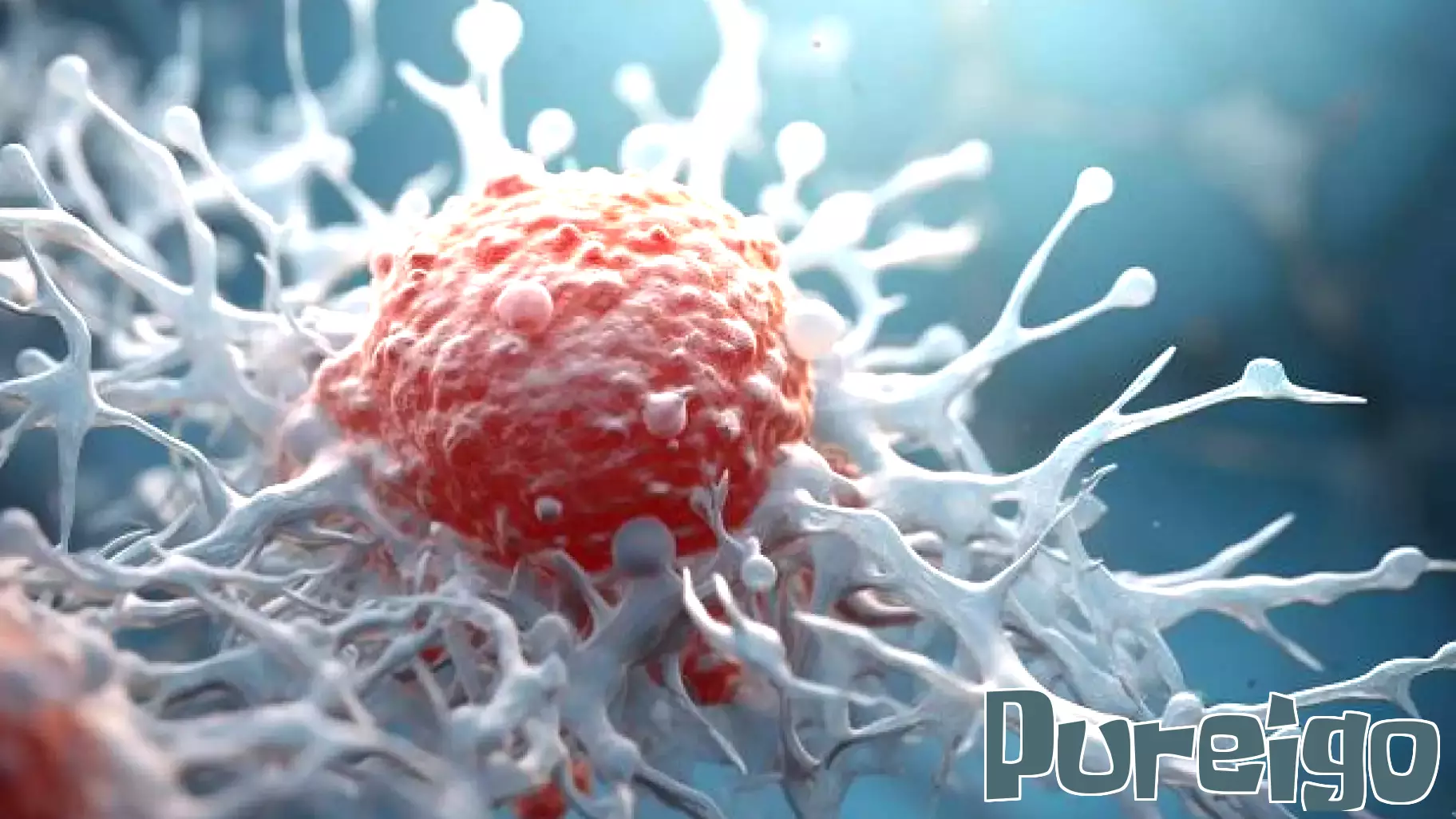 Unraveling the Link Between Obesity and Chronic Inflammation