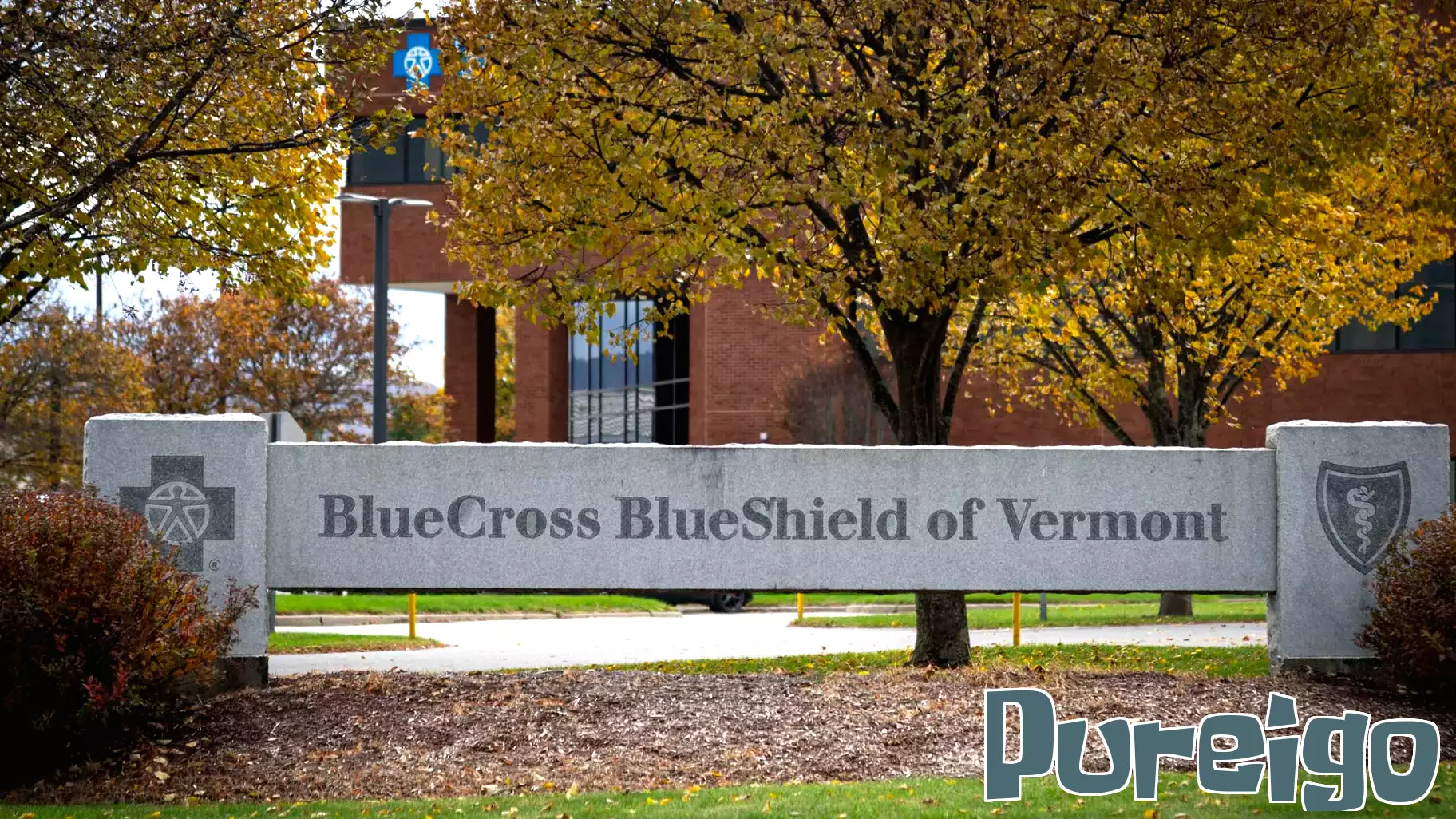 Vermont’s largest health insurer wants to offer a cheaper plan. Can it actually help Vermonters?