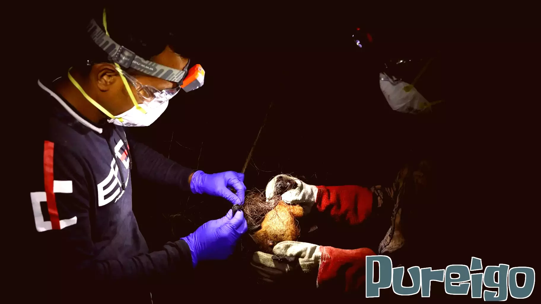 WHO says fatal case of Nipah virus confirmed in Bangladesh