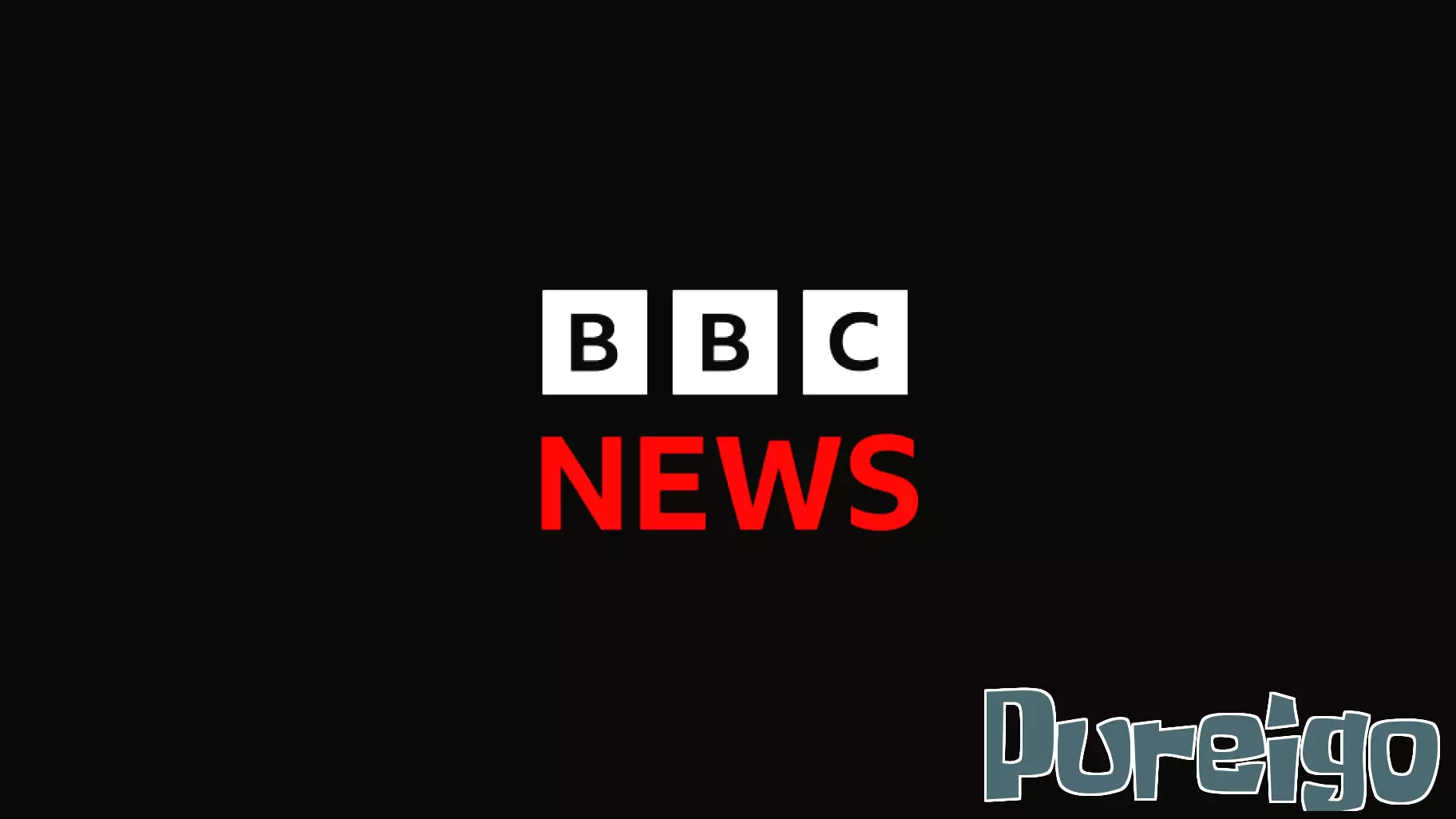 Zoo's last lion put to sleep after health decline