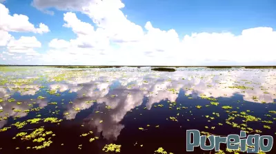 Advisory Issued: Avoid Swimming in Areas with Blue-Green Algae Blooms at Lake Okeechobee