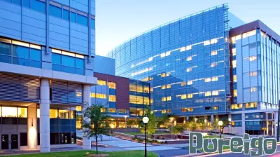Comprehensive Health and Wellness Services for Students