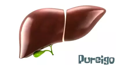 Connection Between Gum Disease and Liver Health Explored
