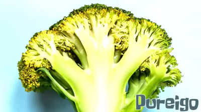 Discover Fiber-Rich, Low-Carb Foods for Optimal Gut Health