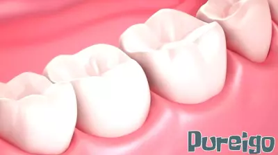 Ensuring Lifelong Oral Health for a Brighter Smile