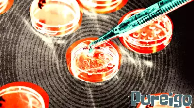 Growing Popularity of Elective IVF Raises Concerns Among Doctors