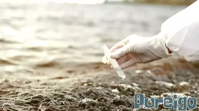 Opinion: ‘Public health is public wealth’ | Harvard T.H. Chan School of Public Health