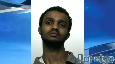 Repeat Offender with Troubling History Accepts Plea Bargain Amid Mental Health Concerns