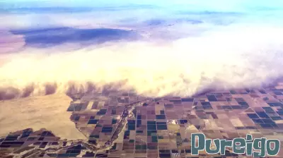 Study Highlights Risks of Inhaled Agricultural Dust on Gut Health