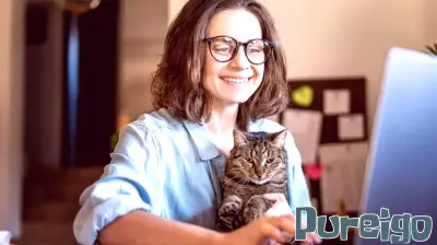 Telehealth Enhances Treatment for Cats Suffering from Arthritis