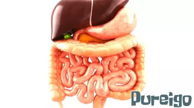 The Detrimental Effects of Heavy Alcohol Use on Digestive Health