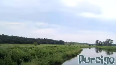 The Health Benefits of Preserving Illinois Wetlands