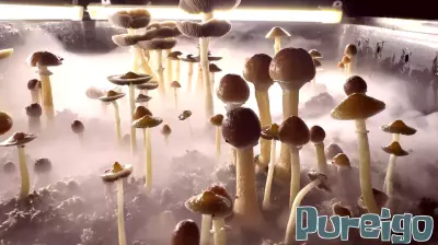 The market for psychedelic drugs to treat mental health conditions gets a big buy signal