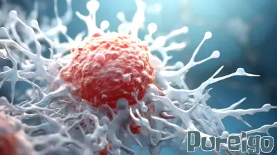 Unraveling the Link Between Obesity and Chronic Inflammation